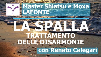 12. copertina LA SPALLA